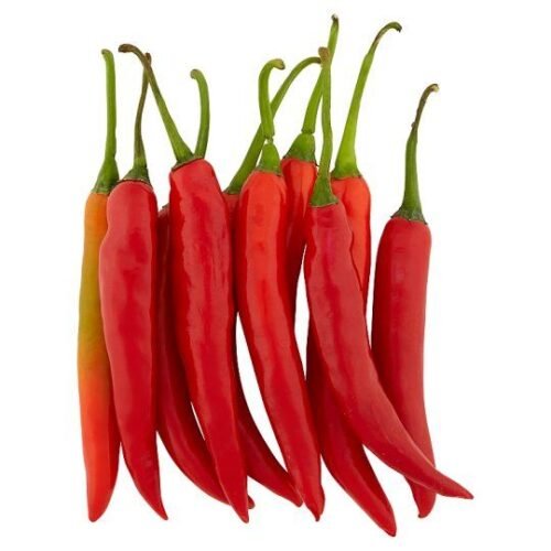 Cili Merah Red Chili - Sold by KG