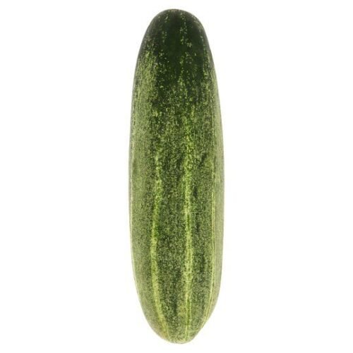 Fresh Cucumber - KG