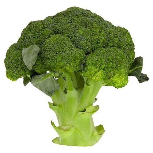 China Broccoli 1 Piece