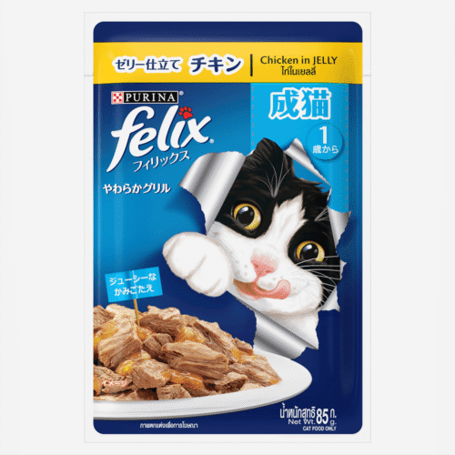 FELIX Adult Chicken in Jelly 85 g