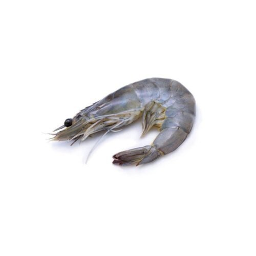 Udang Xxl 1 kg