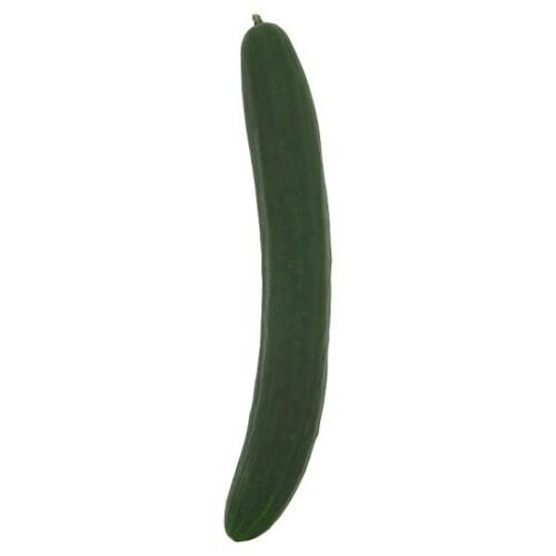 Japanese Cucumber